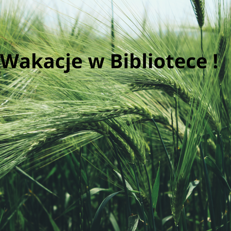 Wakacje w Bibliotece