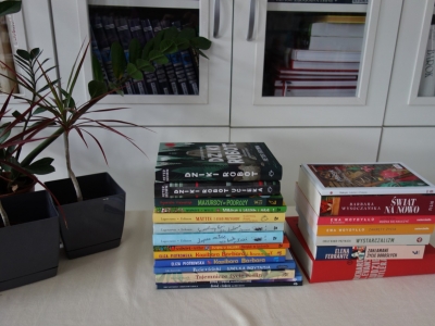 Zakup nowości do biblioteki - zdjęcie10